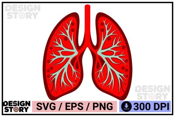 A Medical Illustration for Real-World Embroidery